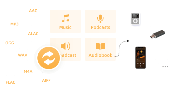 Convertissez des chansons en formats audio populaires et transférez-les sur différents appareils