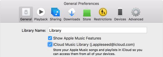 Activer la bibliothèque iCloud Music sur ordinateur