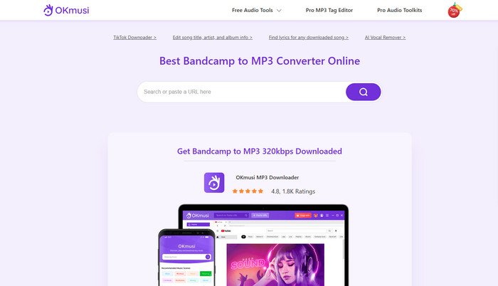 OKmusi Bandcamp to MP3 Converter Online