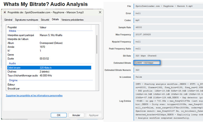Résultat du test audio de qualité de SpotiDownloader