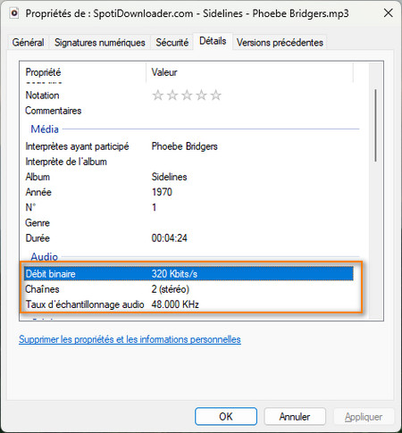 La qualité des chansons téléchargées avec Spoti Downloader