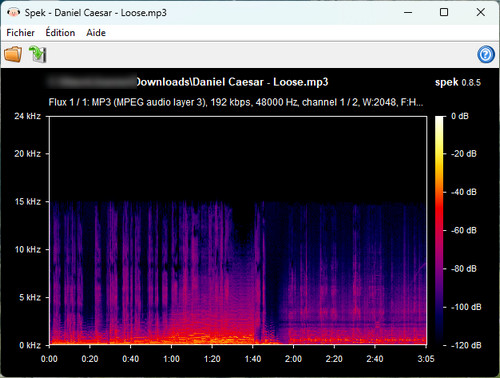 Résultats du test de qualité sonore de SpotyLoader