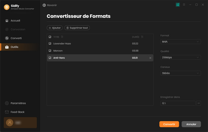 Convertisseur de Formats