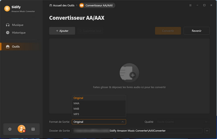 Convertisseur AA/AAX