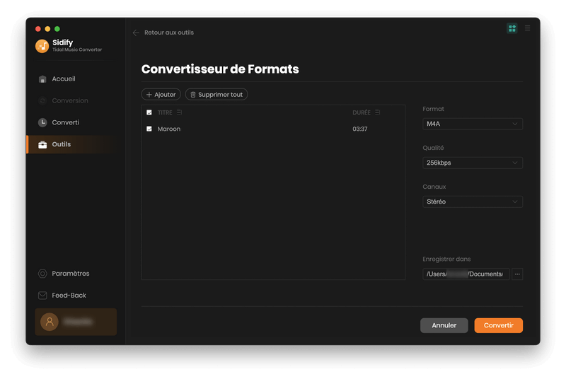 Convertisseur de Formats de Tidal Music sur Mac
