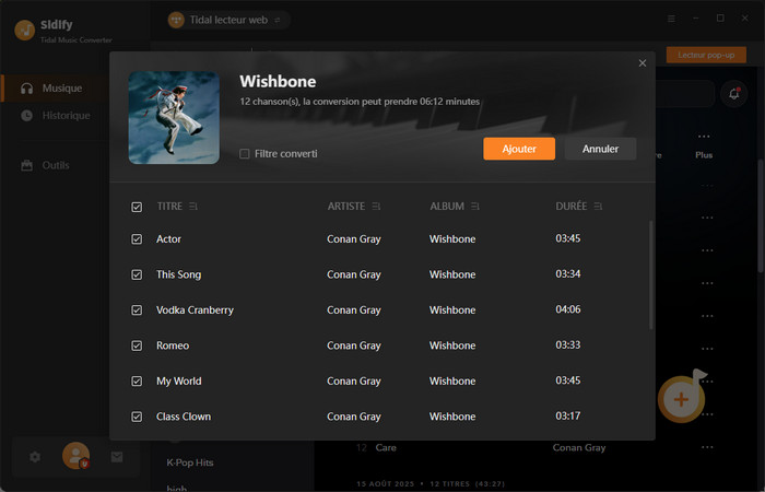 Importer Tidal Music Converter